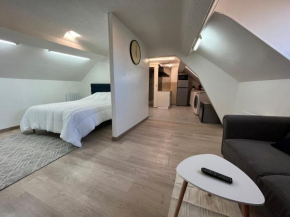 Superbe appartement refait à neuf